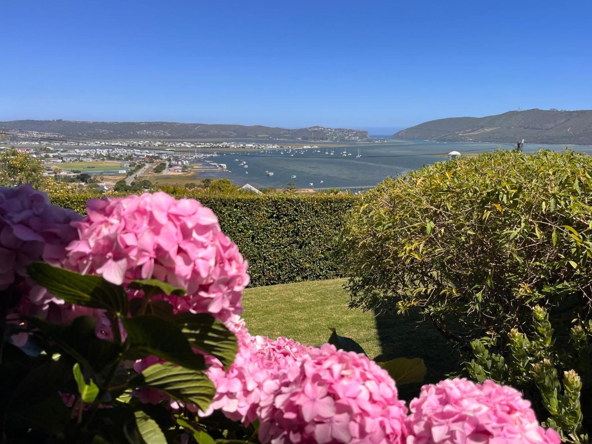 Bed and Breakfast De View à Knysna Extérieur photo